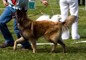 Just-Fame 30.06.2007-2v3kk. Kami. Tuusula.ROP.jpg (74181 bytes)