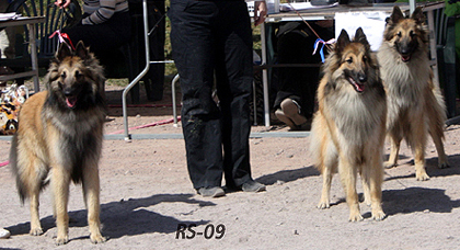 Kid-Special.Kingly-Special.Knight-Special 4.07.2009 - 1v12pv.Kido.Vili.Torres.2.jpg (151444 bytes)