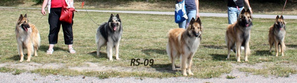 Kid.Very.Kingly.Knight.Kitty4.07.2009-1v12pv.Kido.Vertti.Vili.Torres.Kitty.2.jpg (144824 bytes)