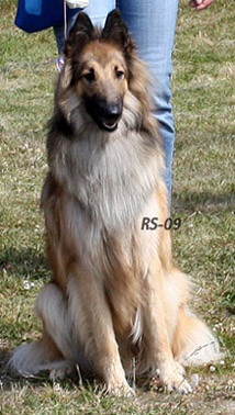 Kingly-Special 4.07.2009 - 1v12pv.Vili.4.jpg (87622 bytes)