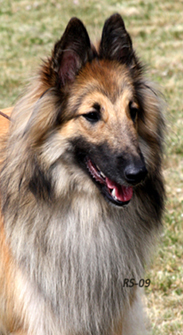 Kingly-Special 4.07.2009 - 1v12pv.Vili.head1.jpg (241445 bytes)