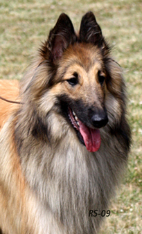 Kingly-Special 4.07.2009 - 1v12pv.Vili.head2.jpg (187428 bytes)