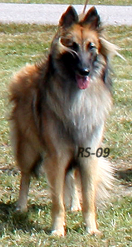 Kitty-Gaily 4.7.2009 - 1v12pv. Kitty.2.jpg (112474 bytes)