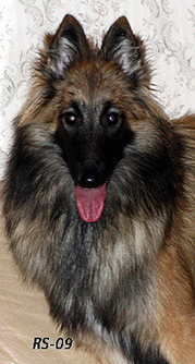Kitty-Gaily 8.2.2009 - 8kk 2vk.Kitty .head1.jpg (153619 bytes)