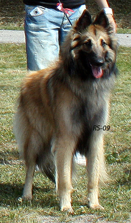 Knight-Special 4.7.2009 - 1v12pv.Torres.2.jpg (214796 bytes)