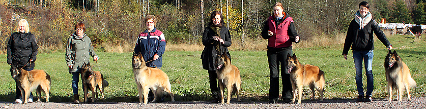 Just-Fame.Mister.Master.Midas.Mystic.Knight-Special 14.10.2012 - 1v5kk. Kami.Hector.Pyry.Midas.Myski.Torres.RS10.1.jpg (388148 bytes)