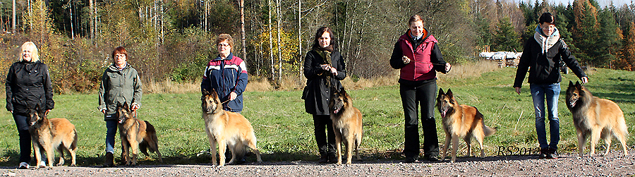Just-Fame.Mister.Master.Midas.Mystic.Knight-Special 14.10.2012 - 1v5kk. Kami.Hector.Pyry.Midas.Myski.Torres.RS5.1.jpg (471134 bytes)