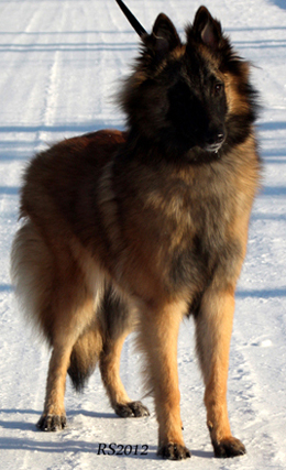 Madly-Just 05.02.2012 - 8kk3vk. Onerva.10.jpg (213960 bytes)