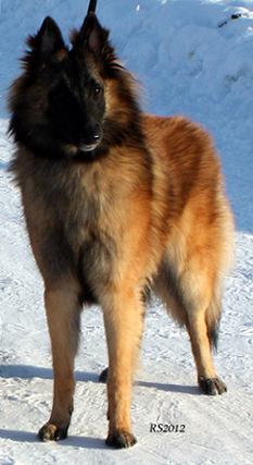 Madly-Just 05.02.2012 - 8kk3vk. Onerva.16.jpg (265762 bytes)