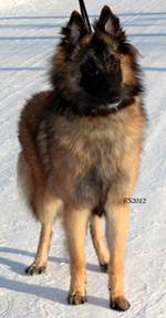 Madly-Just 05.02.2012 - 8kk3vk. Onerva.3.jpg (255777 bytes)