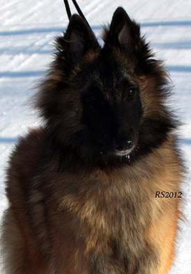 Madly-Just 05.02.2012 - 8kk3vk. Onerva.head1.jpg (185342 bytes)