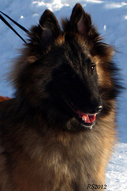 Madly-Just 05.02.2012 - 8kk3vk. Onerva.head2.jpg (184502 bytes)