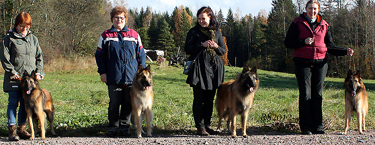 Mister.Master.Midas.Mystic-Knight 14.10.2012 - 1v5kk. Hector.Pyry.Midas.Myski.RS4.1.jpg (414475 bytes)