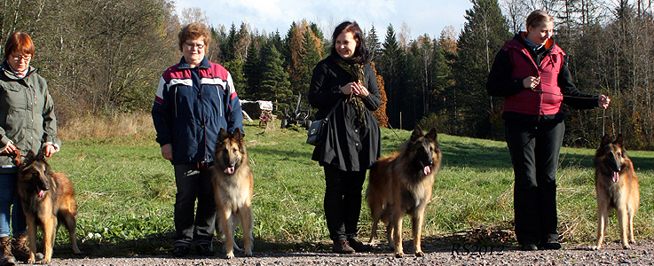 Mister.Master.Midas.Mystic-Knight 14.10.2012 - 1v5kk. Hector.Pyry.Midas.Myski.RS5.1.jpg (386111 bytes)