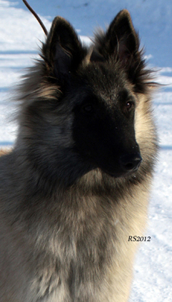 Nocturnal-Instant 05.02.2012 - 5kk3vk.Vilma.head1.jpg (104914 bytes)