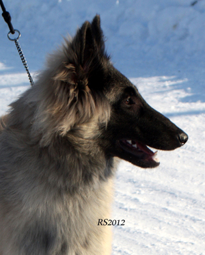 Novel-Instant 05.02.2012 - 5kk3vk. Okra.head6.jpg (113846 bytes)